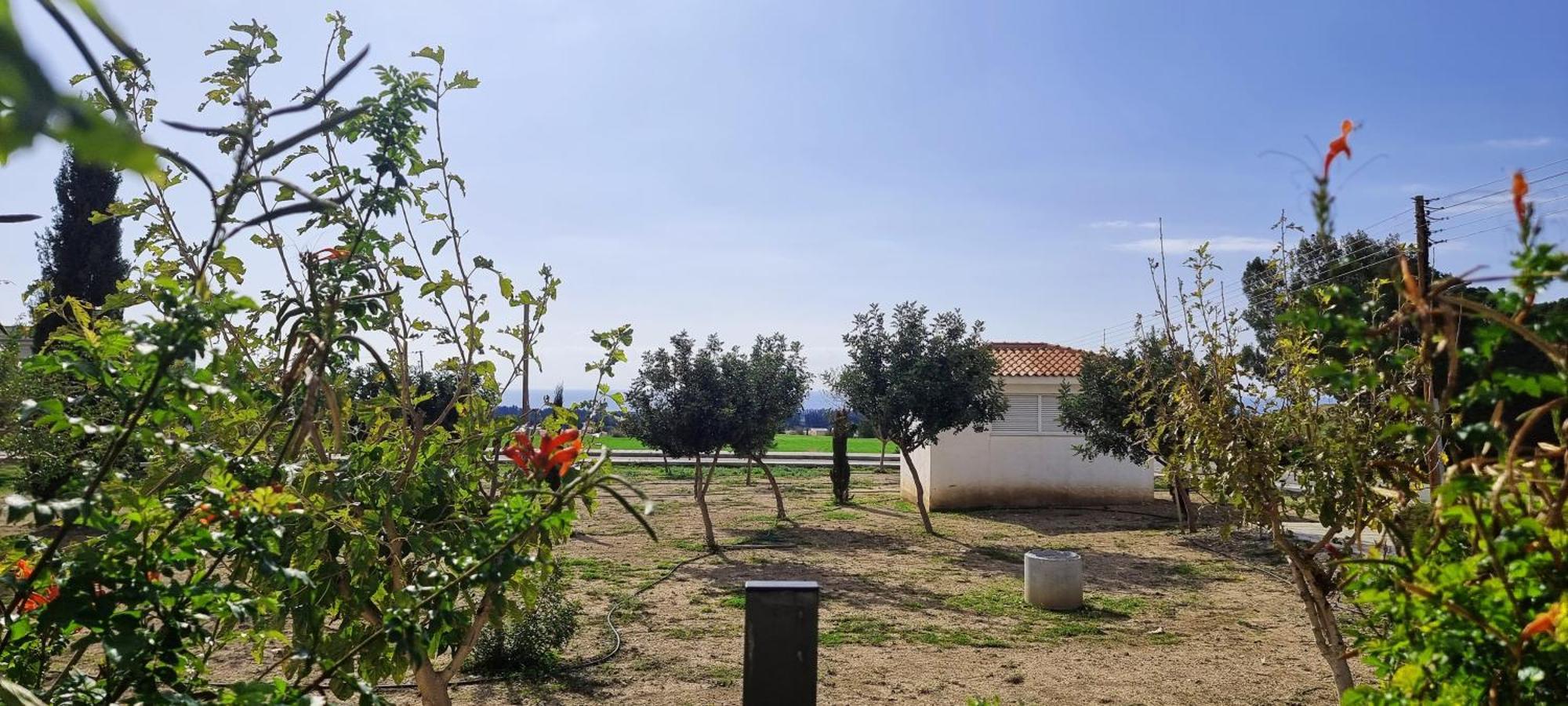 Shanti Paphos Villa Exterior photo